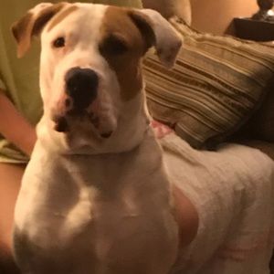 Meet your Posher, Nic